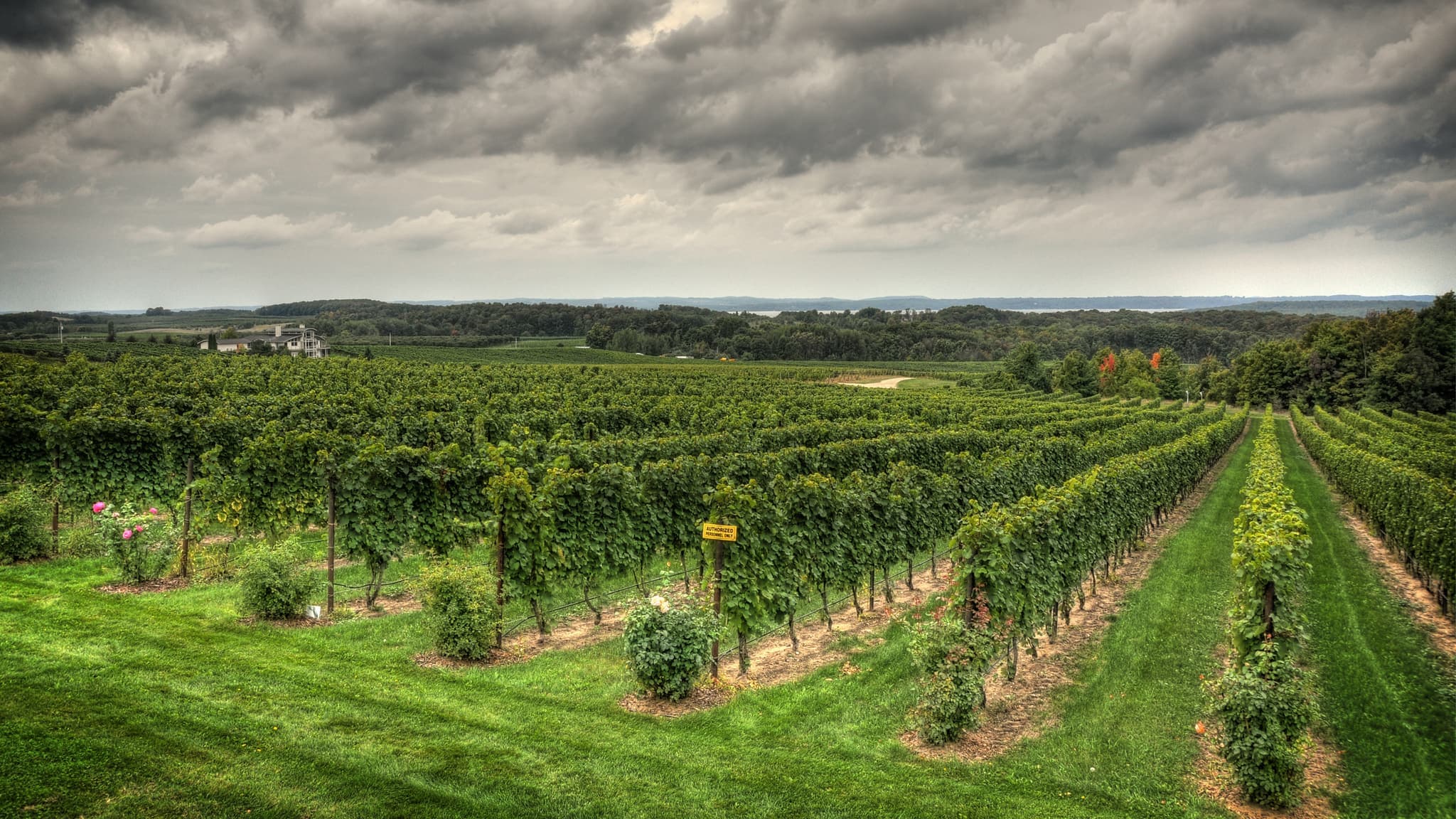 Plan a Traverse City wine-country trip with verified winery links, peninsula geography, reservation tips, and sober transportation guidance.