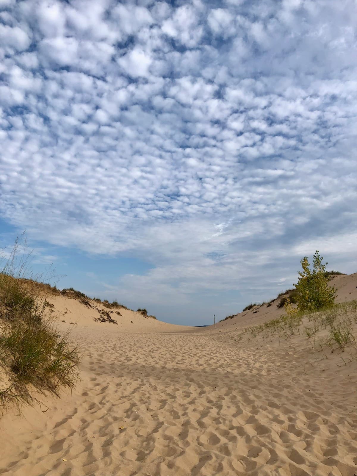 Real talk about visiting Sleeping Bear Dunes. Trail difficulty, best beaches, and what to pack from someone who's been dozens of times.