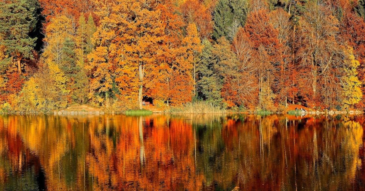 October in Traverse City is peak everything — fall colors, harvest festivals, empty beaches, and warm water. Why locals think fall beats summer.