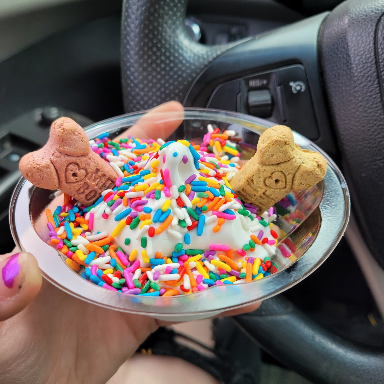 Jomo's Ice Cream Shop - Bakeries & Sweets in Traverse City, Michigan