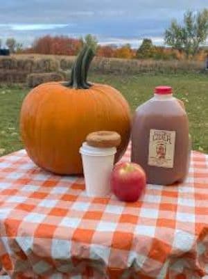 Nugent Orchards - Wineries & Vineyards in Traverse City, Michigan