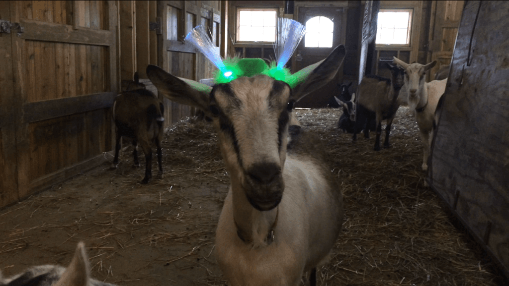 Jim DeWildt Art Gallery & Studio - Museums & Galleries in Traverse City, Michigan