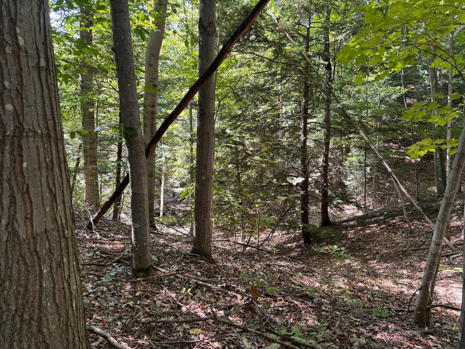 Lake Michigan - Mud Lake Loop - Hiking & Trails in Traverse City, Michigan