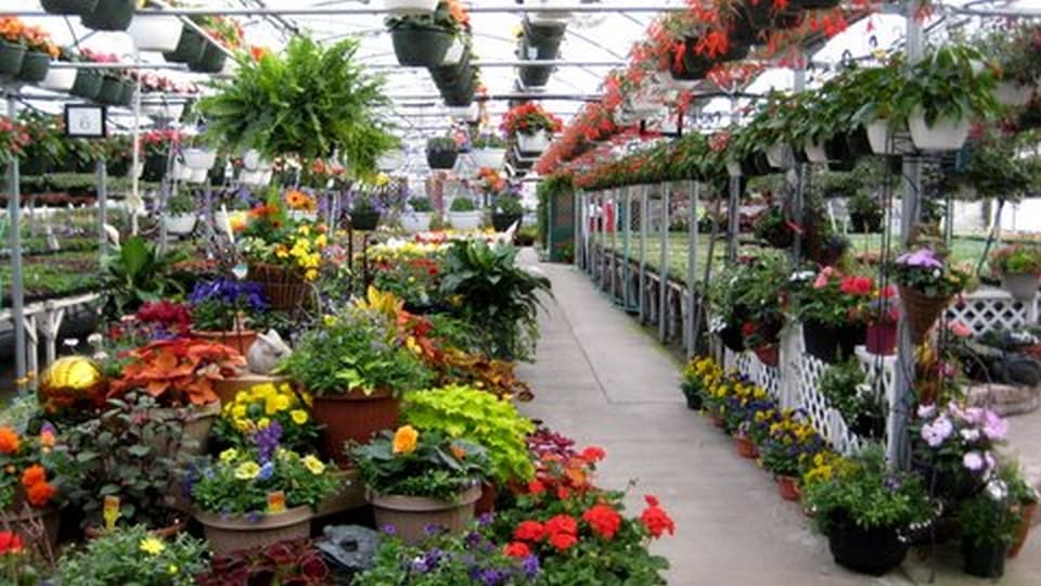 Breeze Hill Greenhouse - Bed & Breakfasts in Traverse City, Michigan