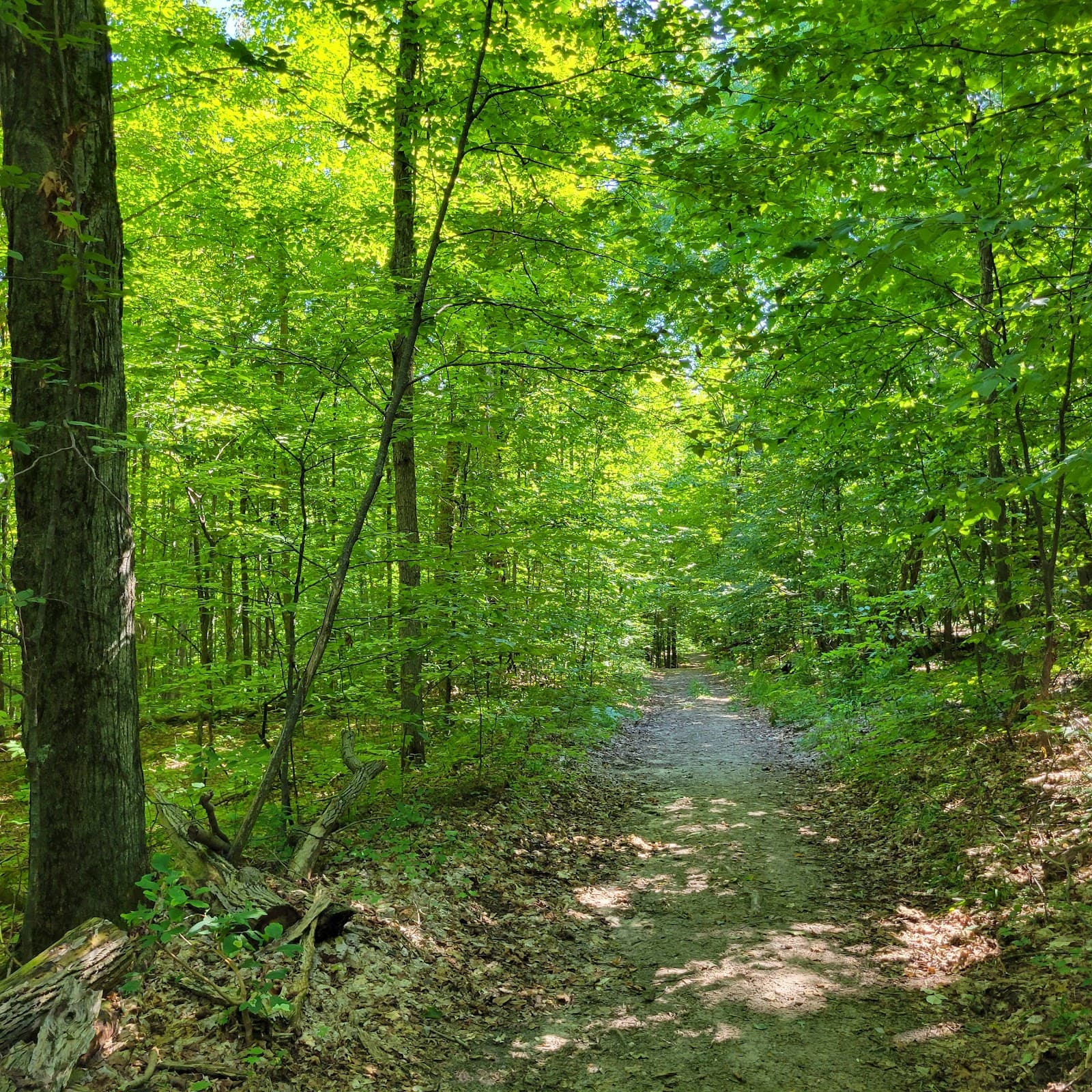 Kettles Trail - Hiking & Trails in Traverse City, Michigan