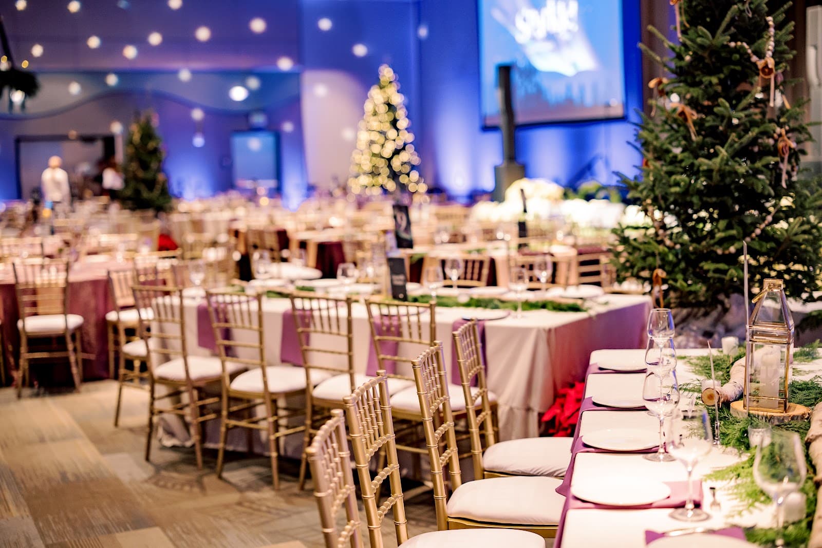 Special Occasions North - Event Planners & Caterers in Traverse City, Michigan