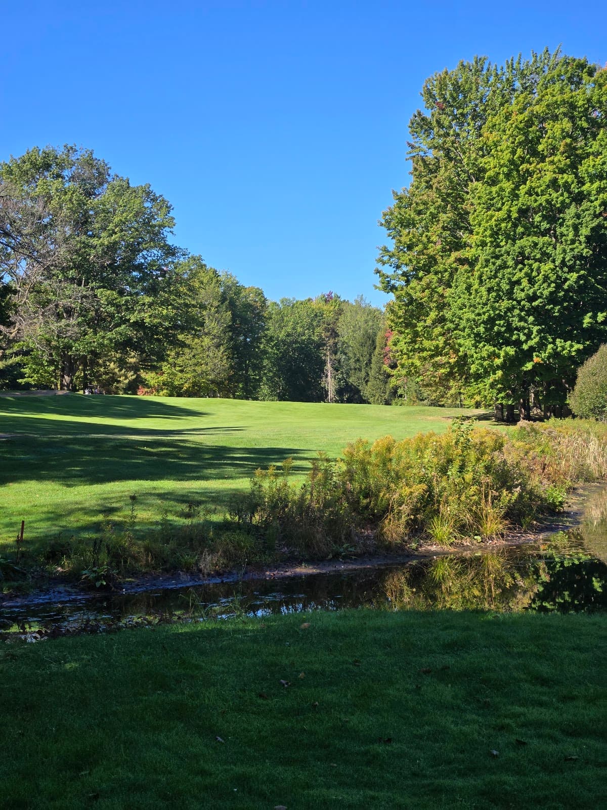 Interlochen Golf Course - Golf Courses in Traverse City, Michigan