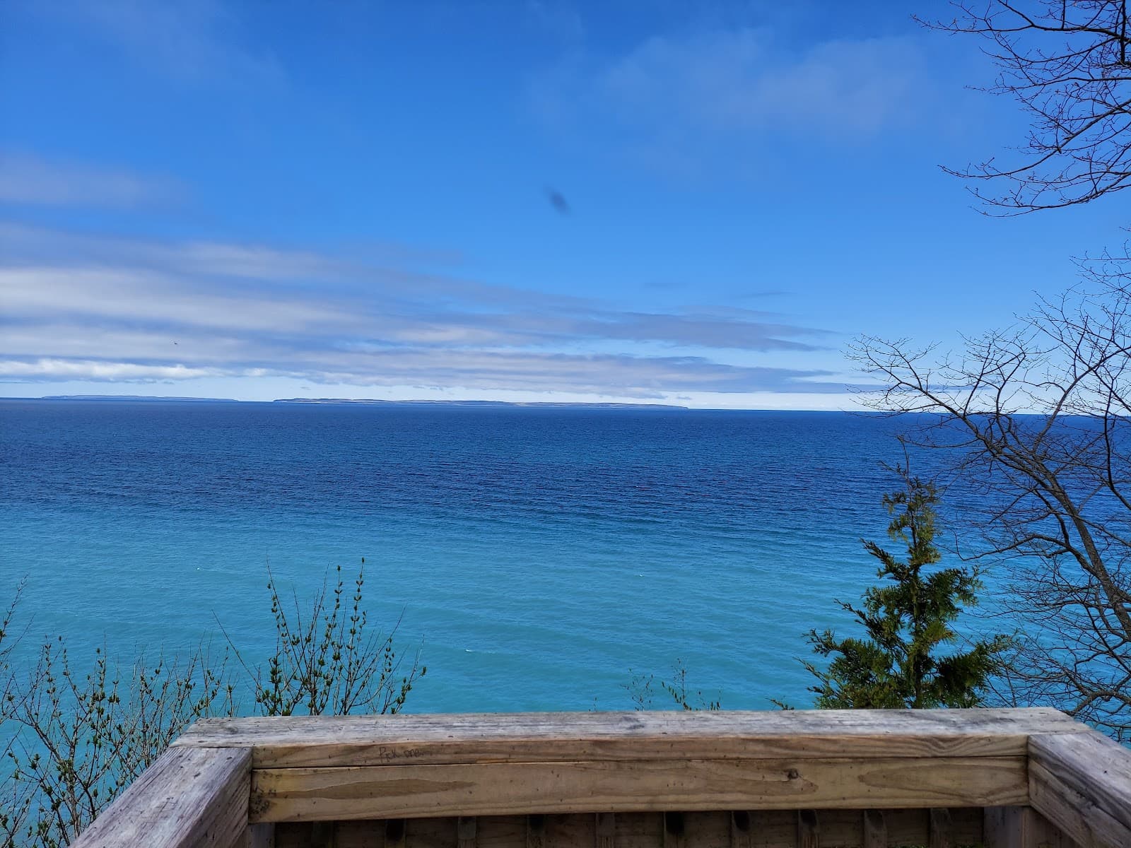 Palmer Woods Forest Reserve: Mountain Biking - Biking (Rentals & Trails) in Traverse City, Michigan