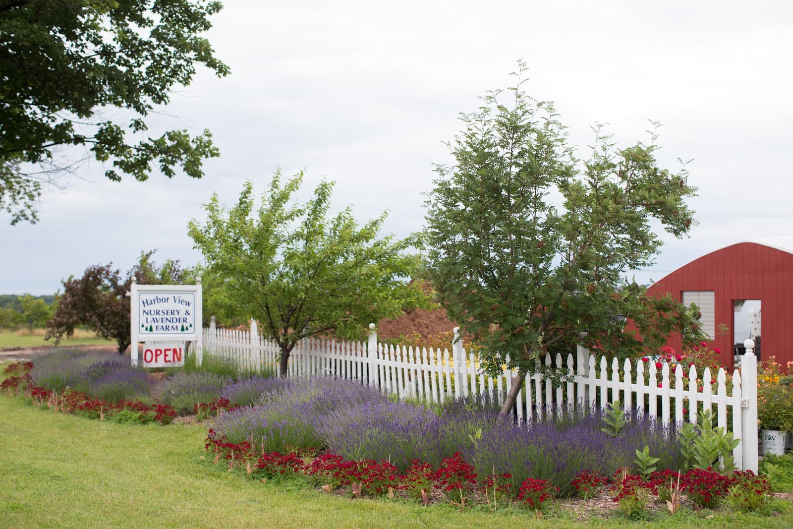 Harbor View Nursery & Lavender Farm - Farm Markets in Traverse City, Michigan