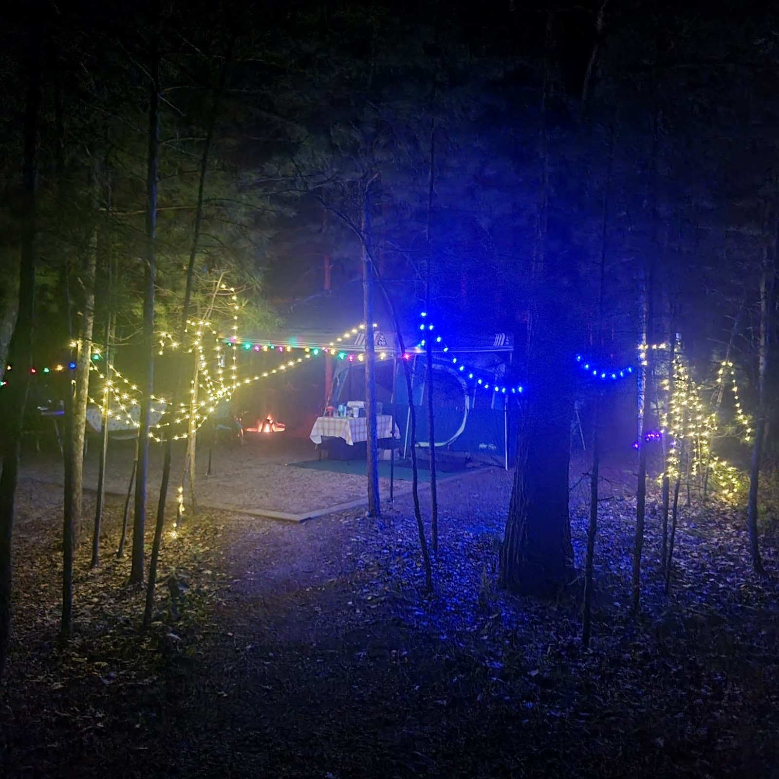 Platte River Campground-Sleeping Bear Dunes - Cabins & Cottages in Traverse City, Michigan