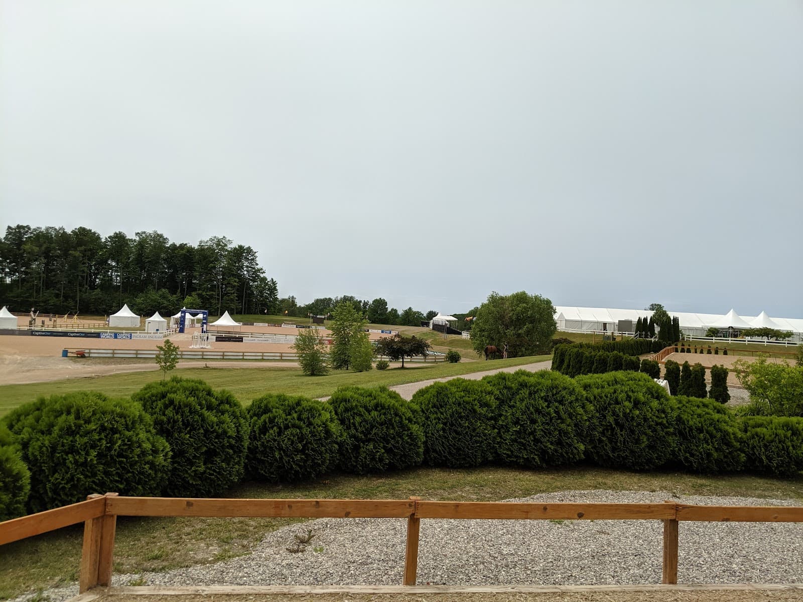 Traverse City Horse Shows - Family Fun (Mini Golf, Go-Karts) in Traverse City, Michigan