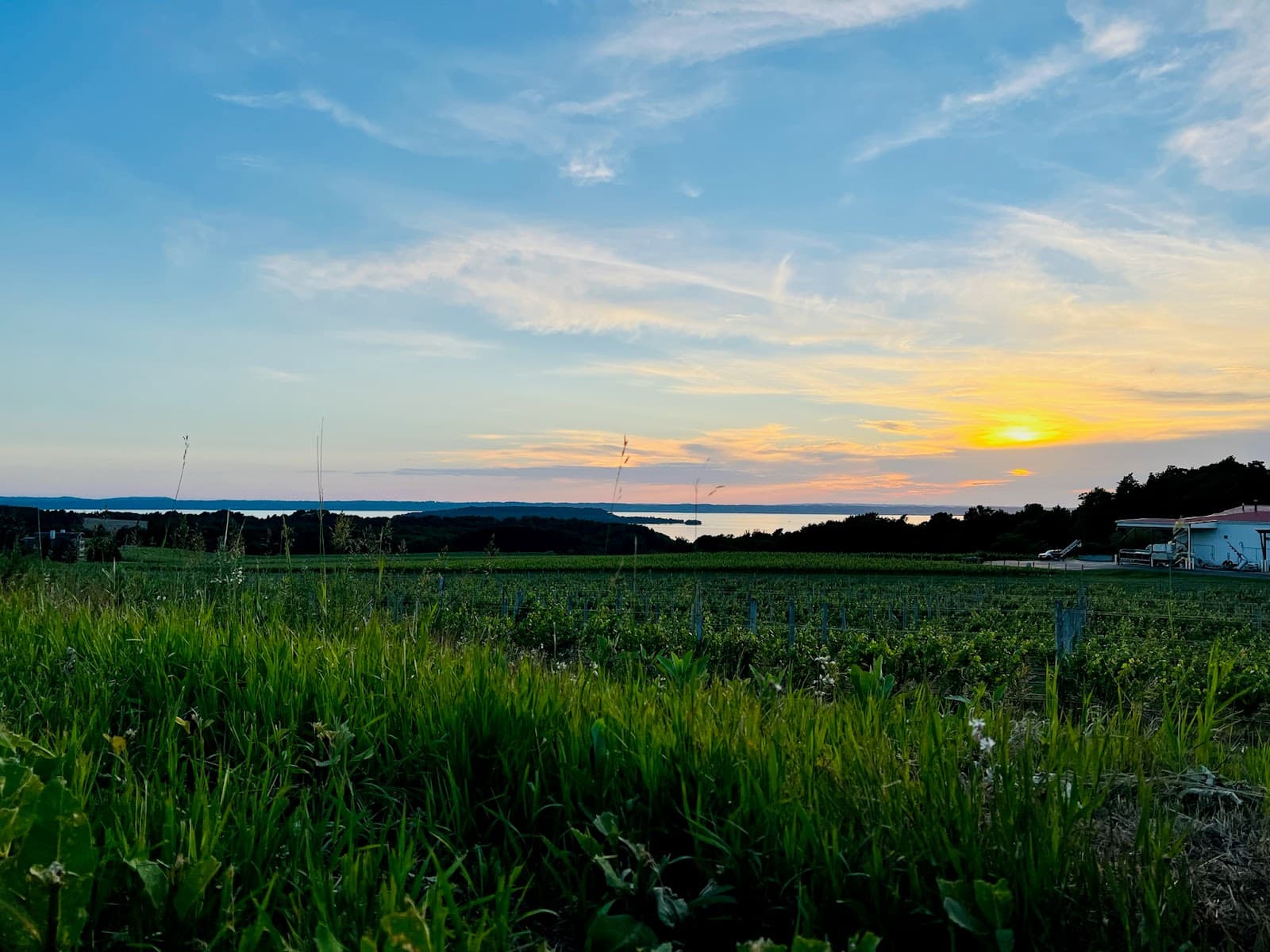 Scenic Wine & Brew Tours in Traverse City