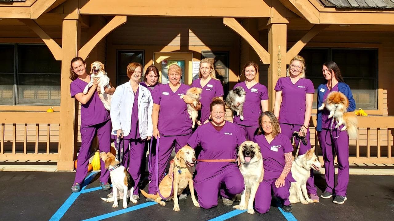 Cherry Bend Animal Hospital in Traverse City