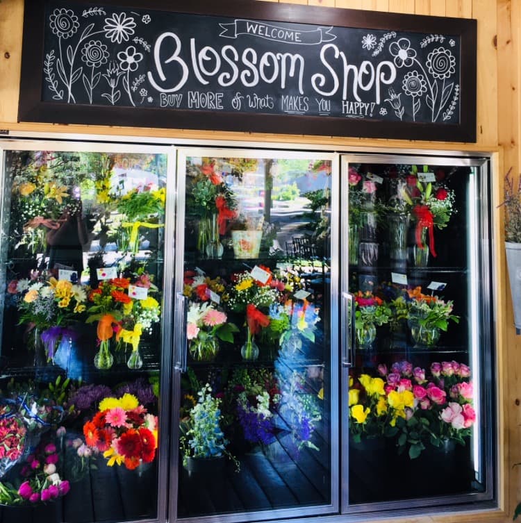 Blossom Shop / Traverse City Floral Co. in Traverse City