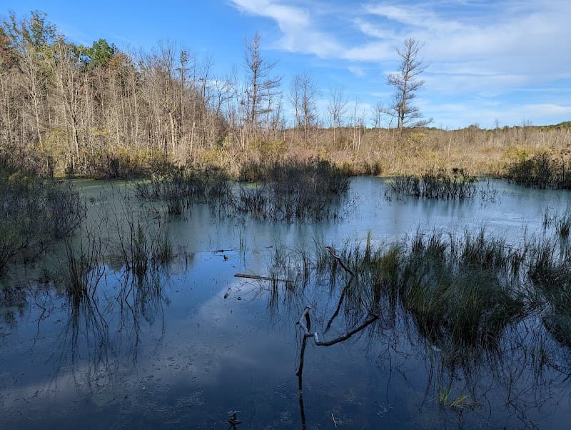 Pyatt Lake: The Bill Carls Nature Preserve - Hiking & Trails in Traverse City, Michigan