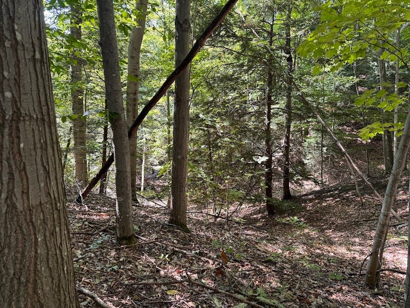 Mud Lake Trailhead - Hiking & Trails in Traverse City, Michigan