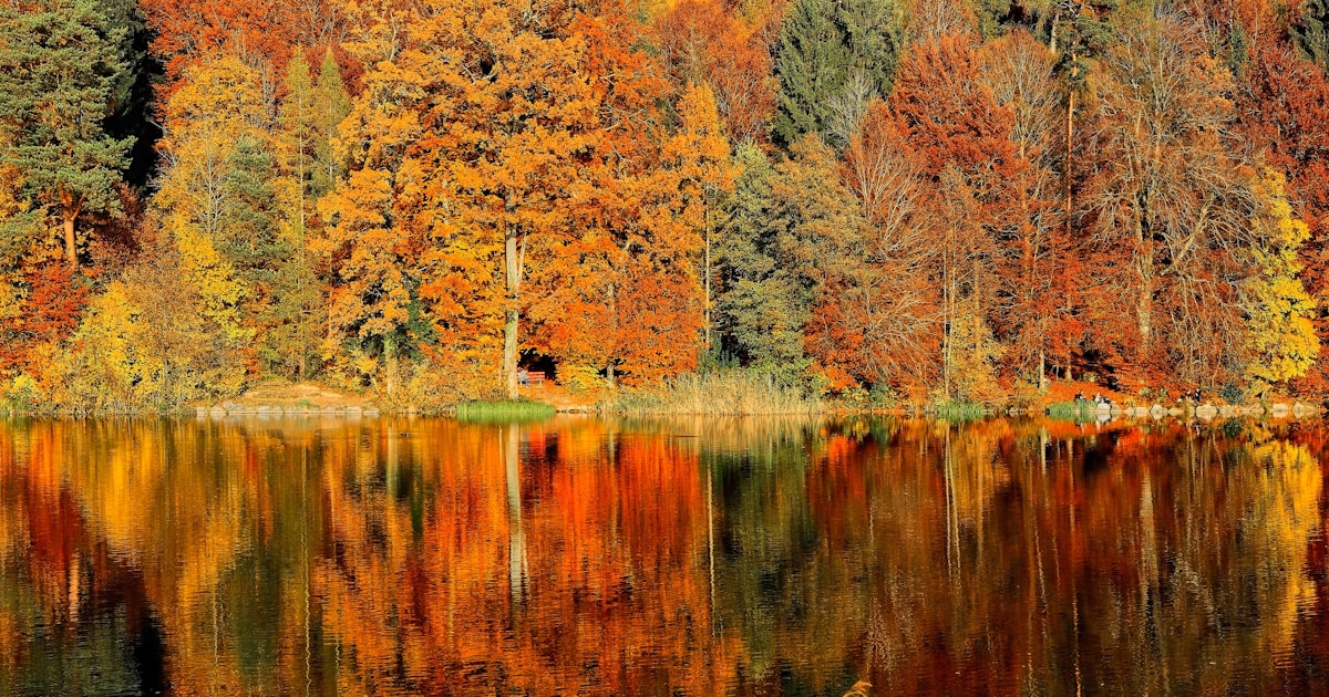 Fall in Traverse City: Color Tours, Cider Mills, and the Best Season Nobody Talks About